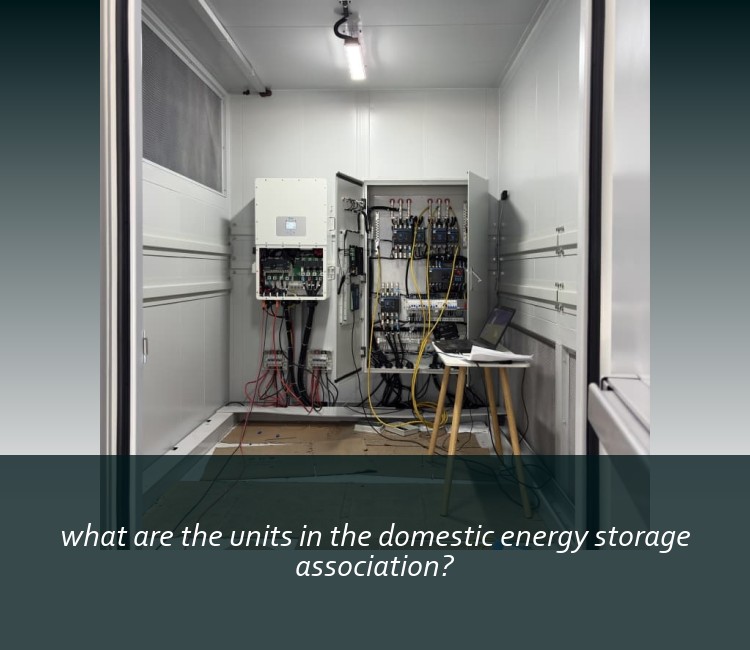 what are the units in the domestic energy storage association?