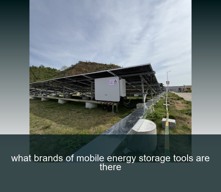 what brands of mobile energy storage tools are there