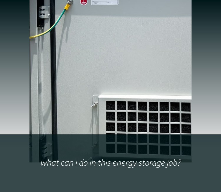 what can i do in this energy storage job?