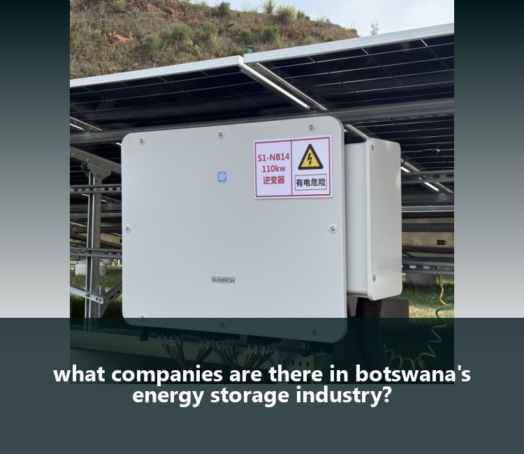 what companies are there in botswana's energy storage industry?