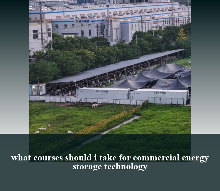 what courses should i take for commercial energy storage technology
