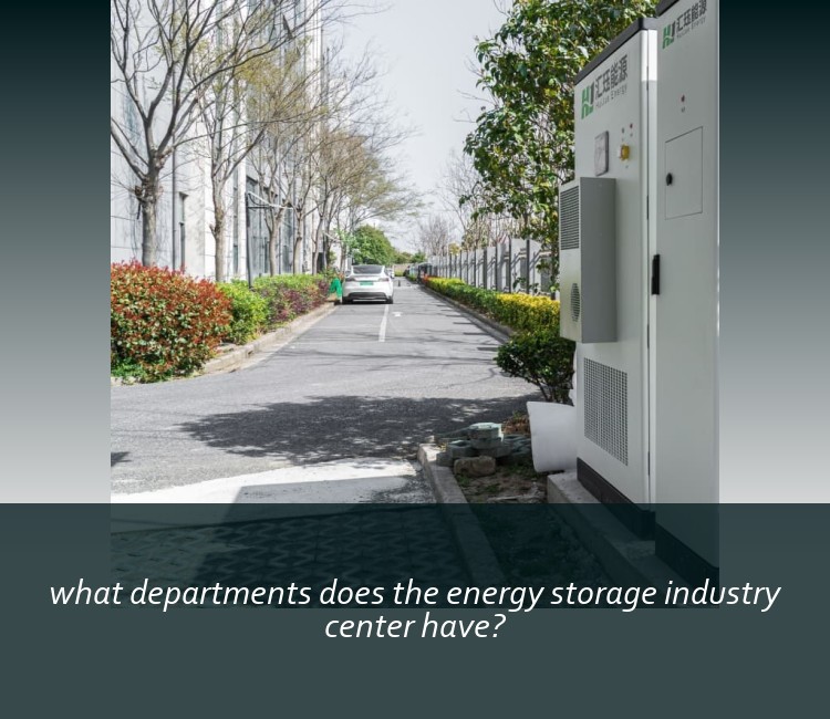 what departments does the energy storage industry center have?