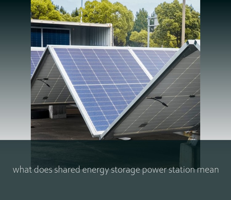 what does shared energy storage power station mean