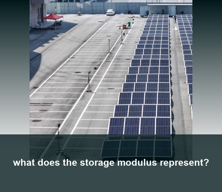 what does the storage modulus represent?