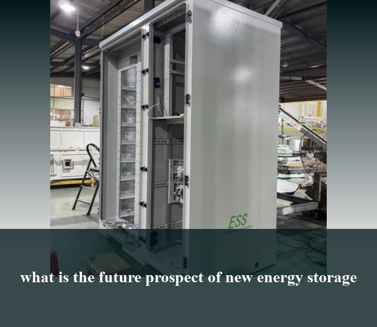 what is the future prospect of new energy storage