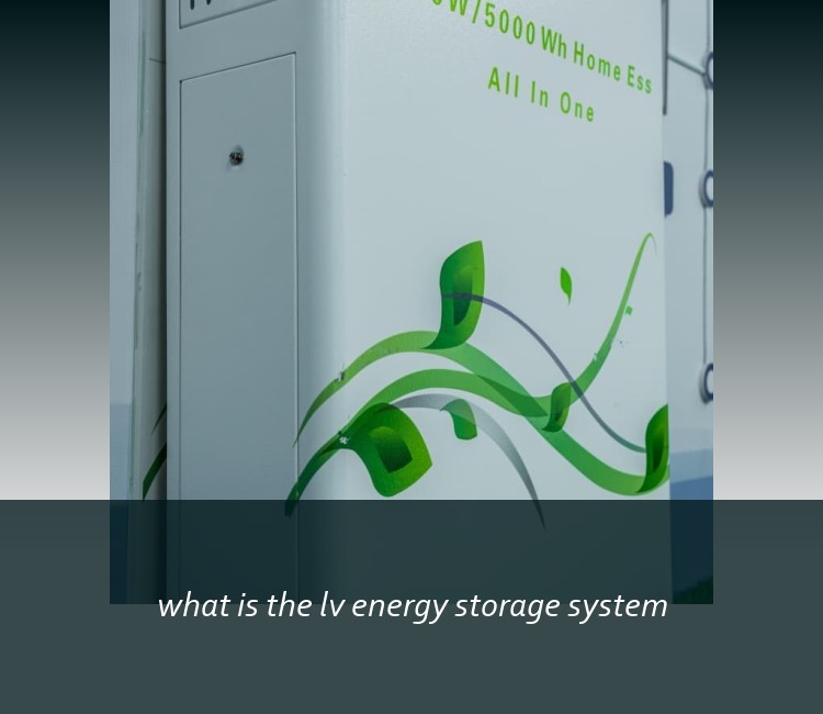 what is the lv energy storage system