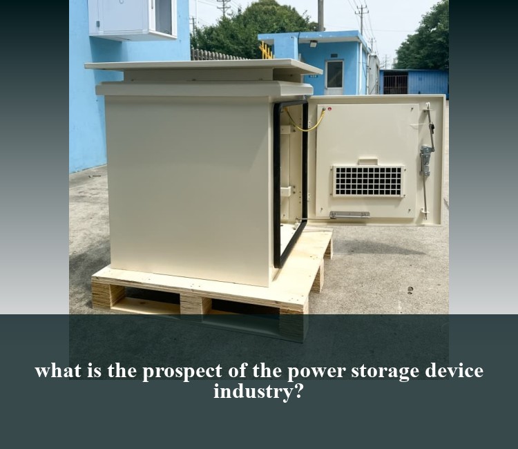 what is the prospect of the power storage device industry?
