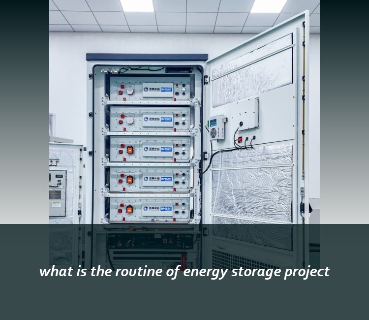 what is the routine of energy storage project