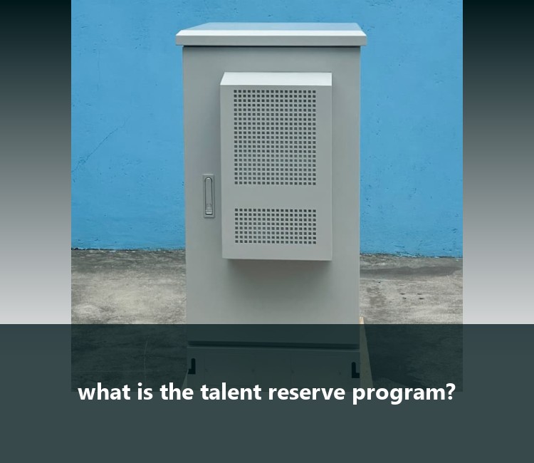 what is the talent reserve program?