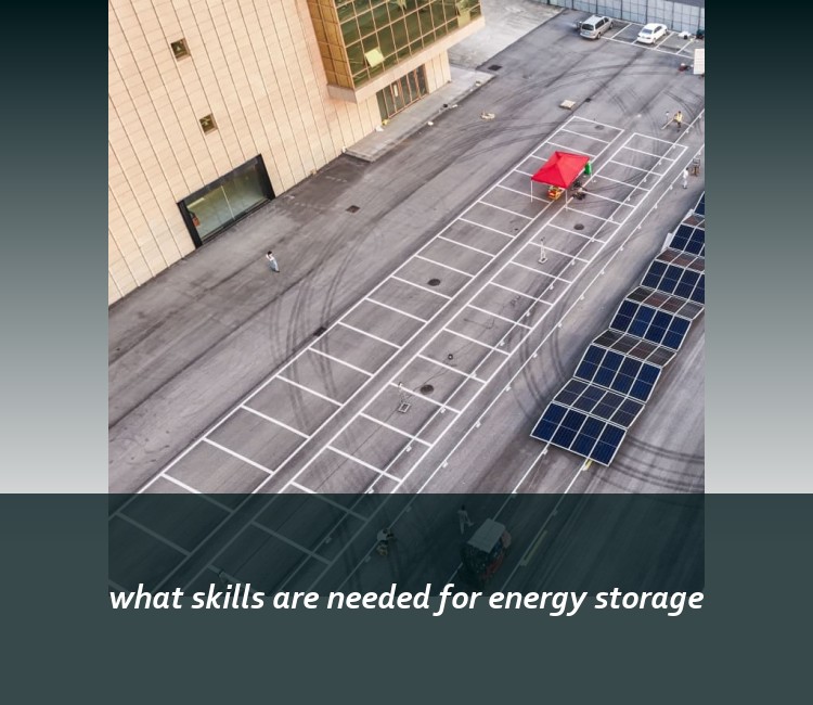 what skills are needed for energy storage
