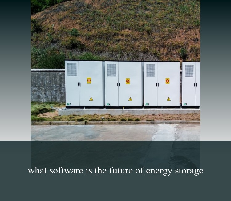 what software is the future of energy storage