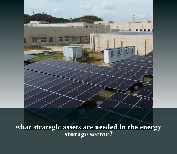 what strategic assets are needed in the energy storage sector?
