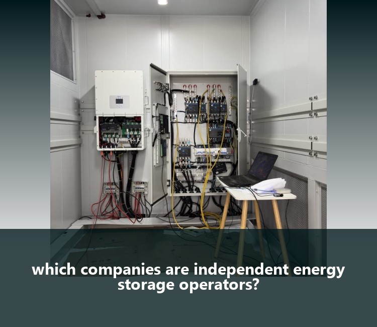 which companies are independent energy storage operators?
