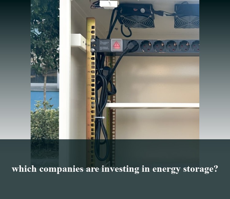 which companies are investing in energy storage?