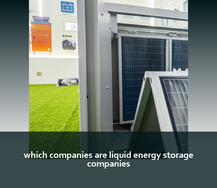 which companies are liquid energy storage companies