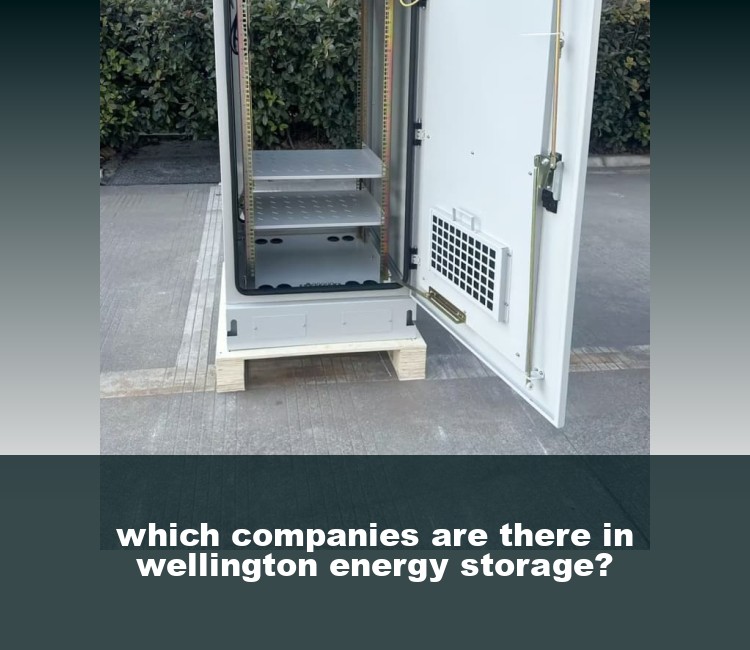 which companies are there in wellington energy storage?