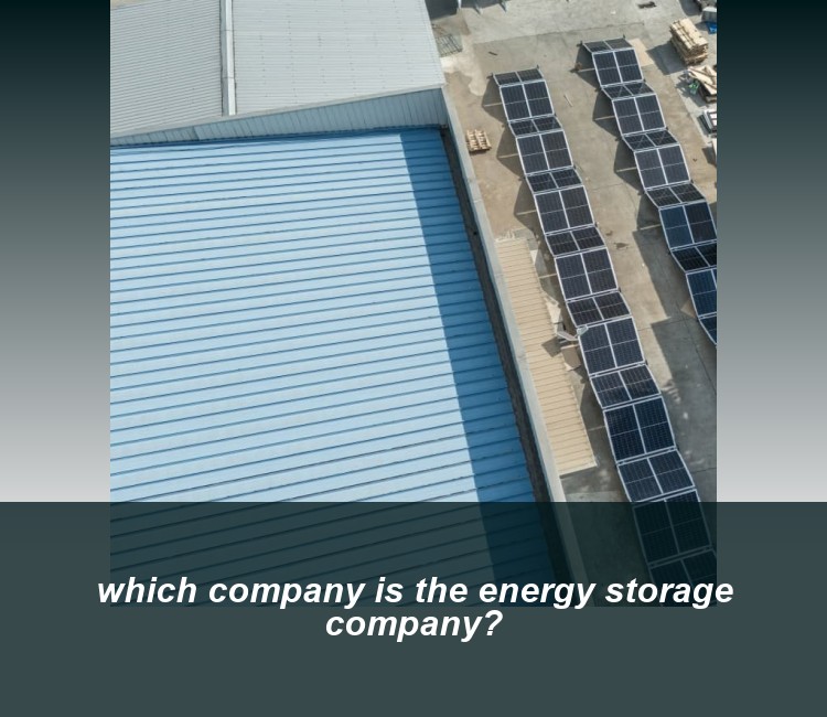 which company is the energy storage company?