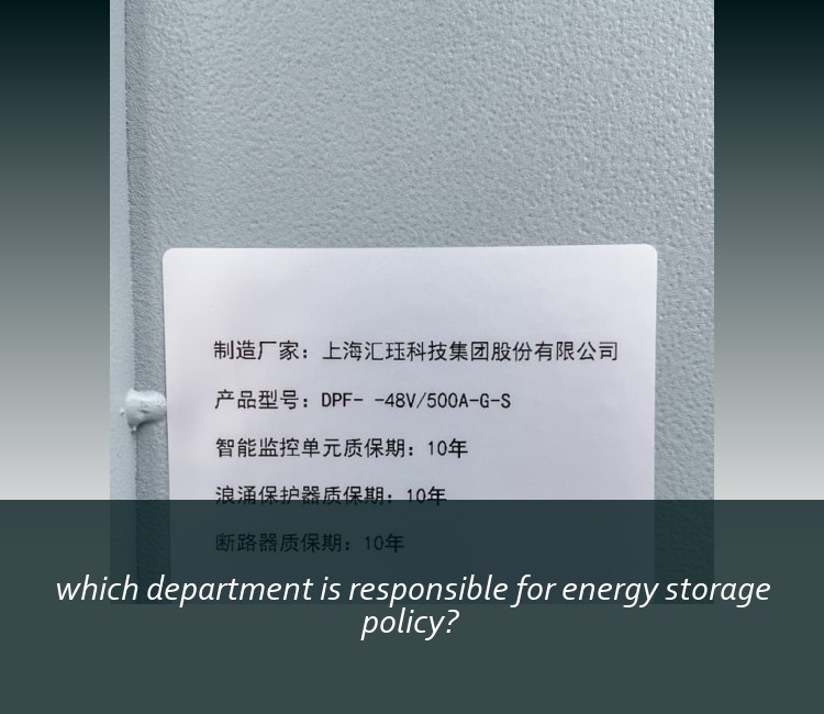 which department is responsible for energy storage policy?