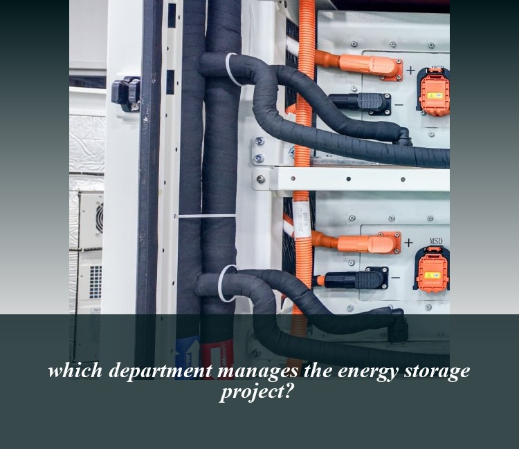 which department manages the energy storage project?