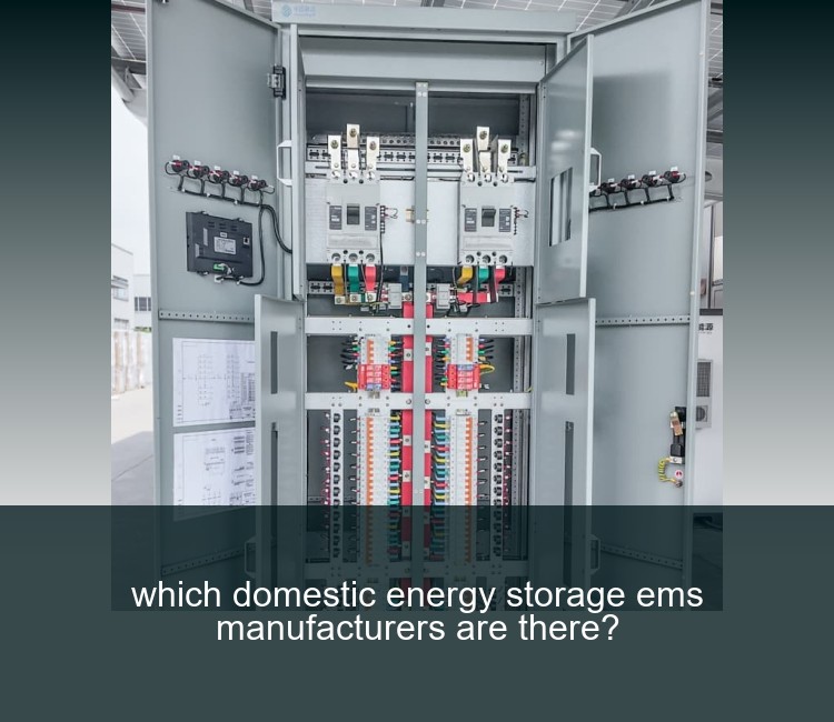 which domestic energy storage ems manufacturers are there?