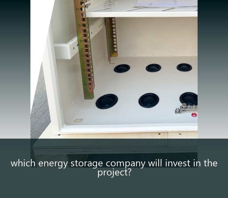 which energy storage company will invest in the project?