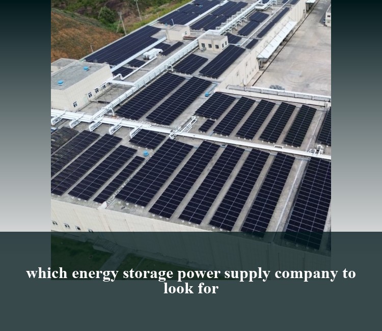 which energy storage power supply company to look for
