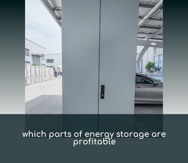 which parts of energy storage are profitable