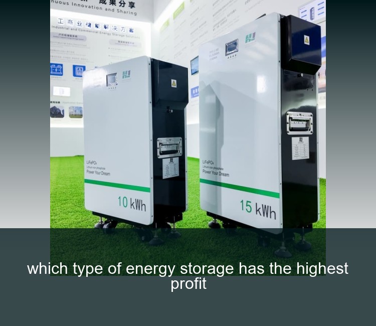 which type of energy storage has the highest profit