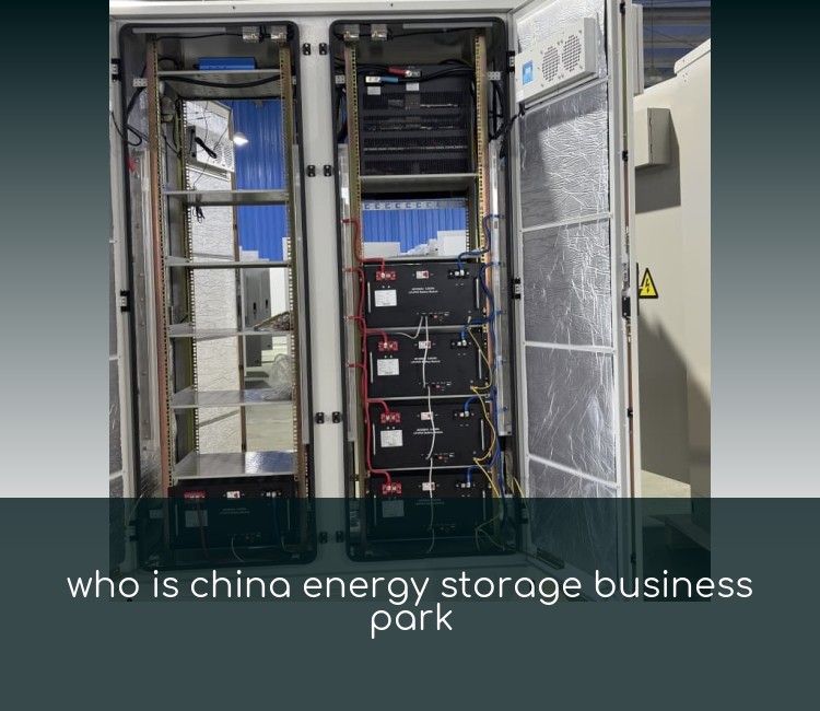 who is china energy storage business park