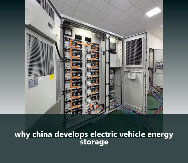 why china develops electric vehicle energy storage