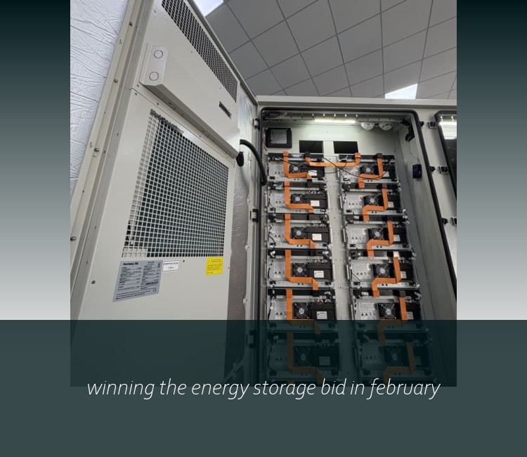 winning the energy storage bid in february