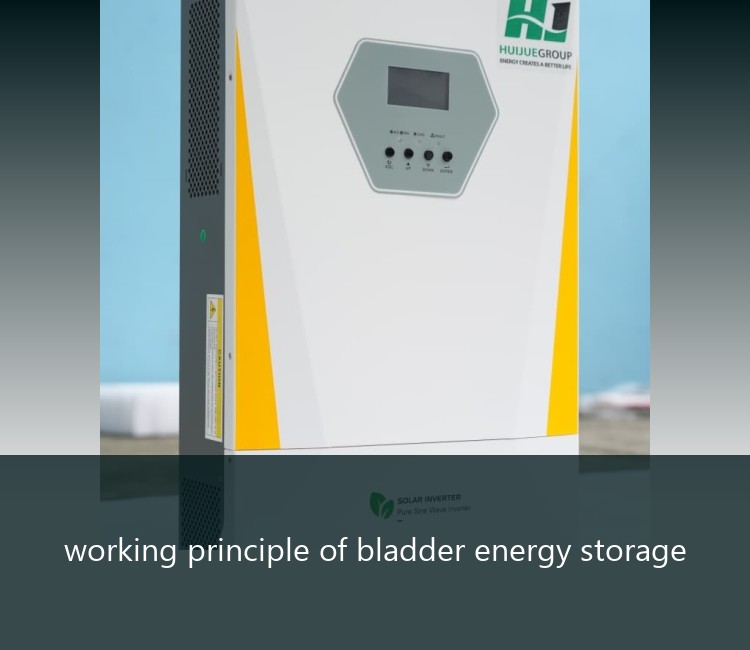 working principle of bladder energy storage