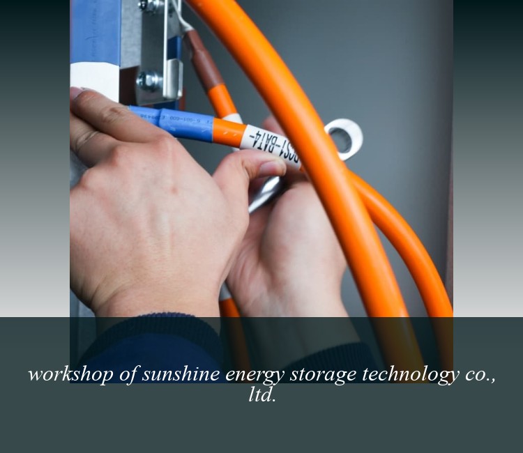workshop of sunshine energy storage technology co., ltd.