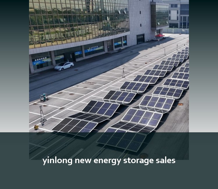 yinlong new energy storage sales