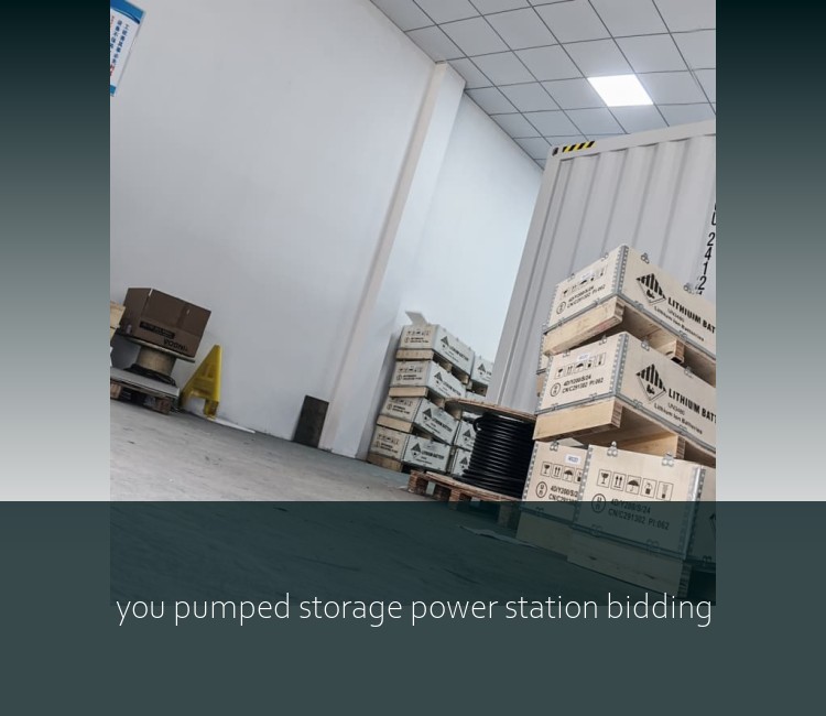 you pumped storage power station bidding