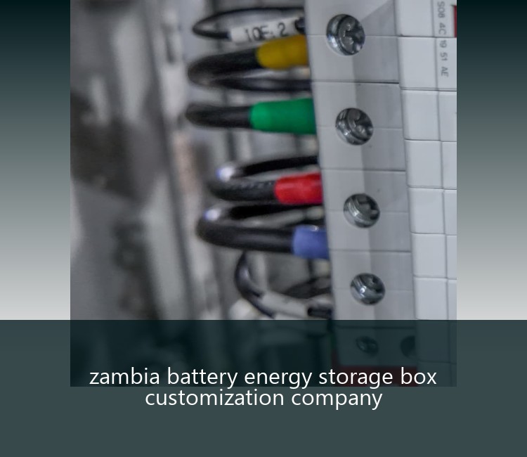zambia battery energy storage box customization company