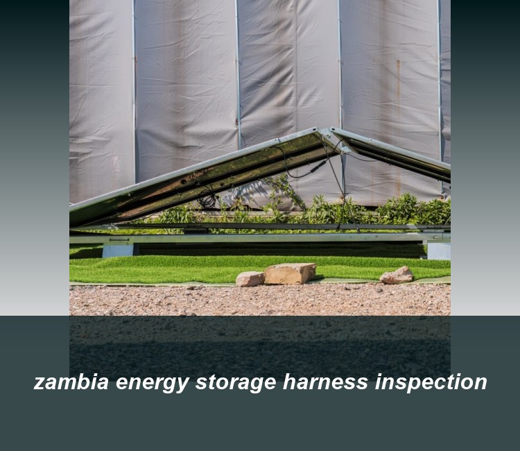 zambia energy storage harness inspection