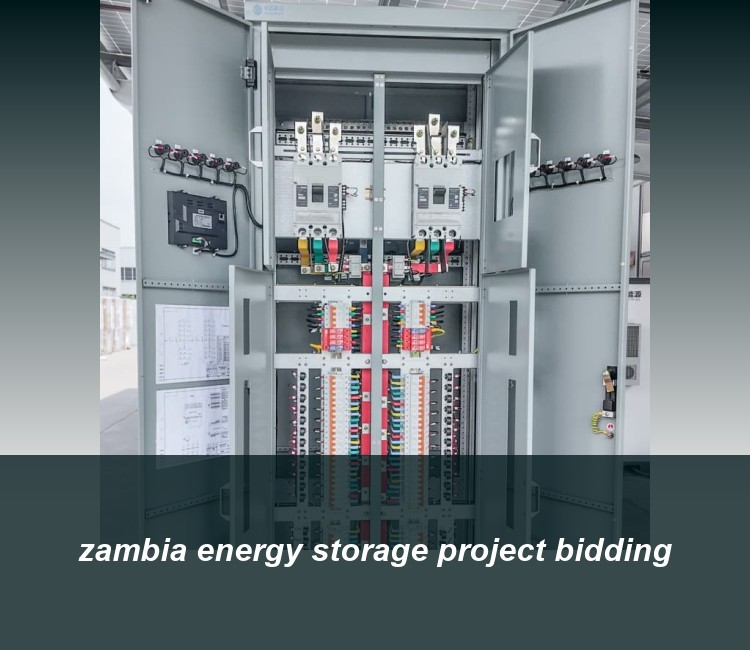 zambia energy storage project bidding