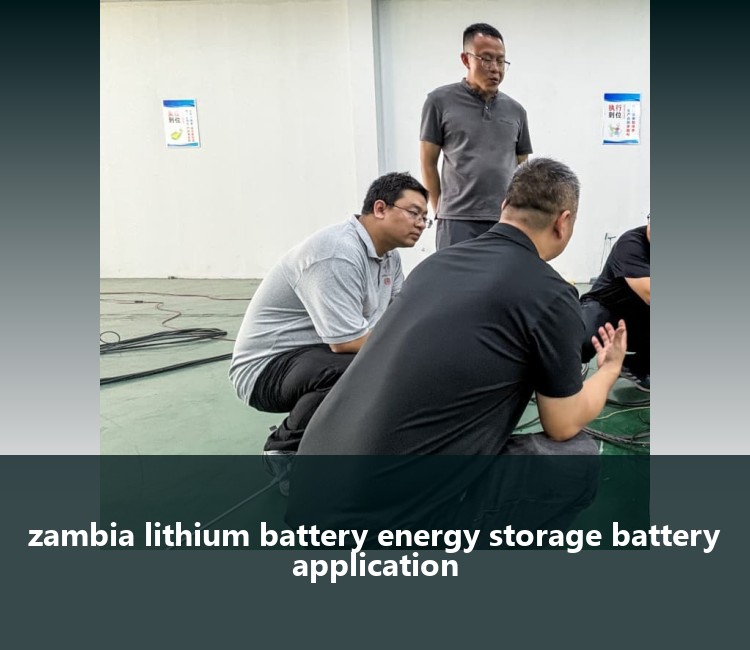 zambia lithium battery energy storage battery application
