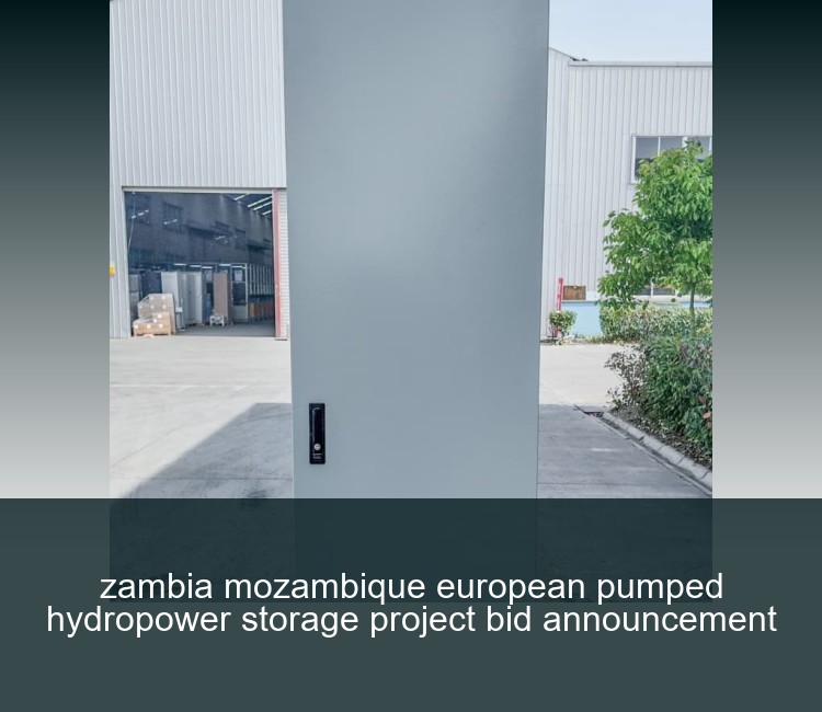 zambia mozambique european pumped hydropower storage project bid announcement
