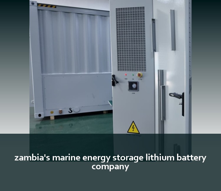 zambia's marine energy storage lithium battery company