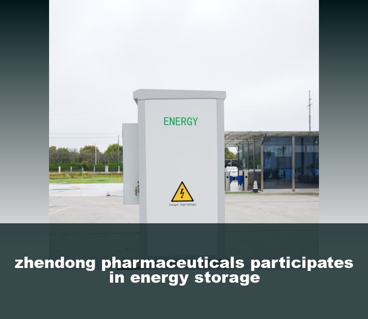 zhendong pharmaceuticals participates in energy storage