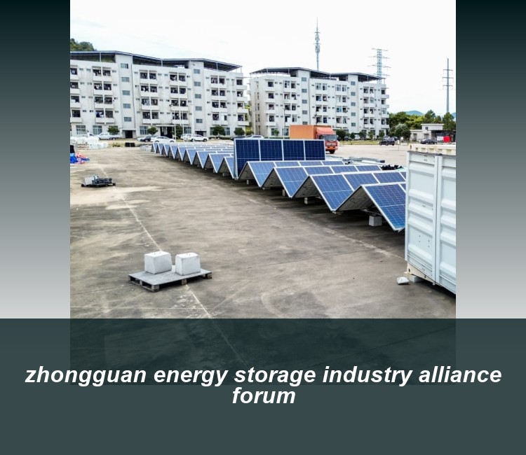 zhongguan energy storage industry alliance forum