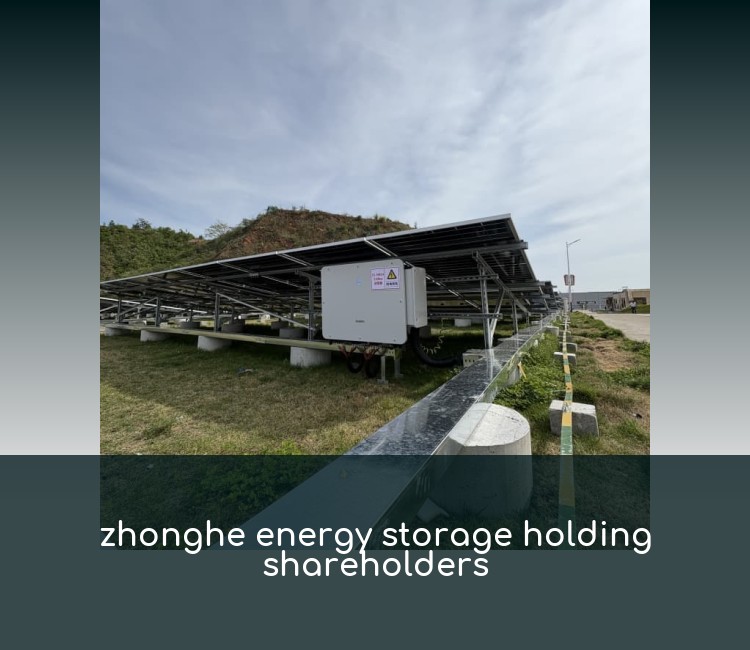 zhonghe energy storage holding shareholders